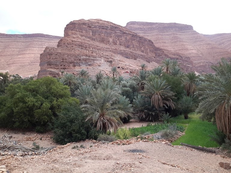 Oasis dansle sud du Maroc pour le 4LDéfi Maroc